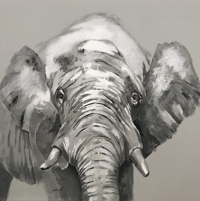 ANIMALS