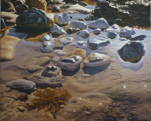 STONES AND ALGAE