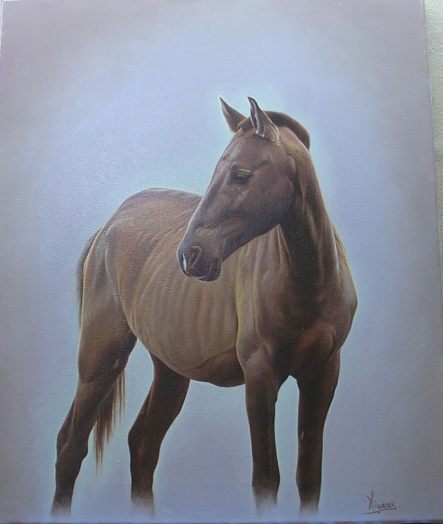 CABALLOS