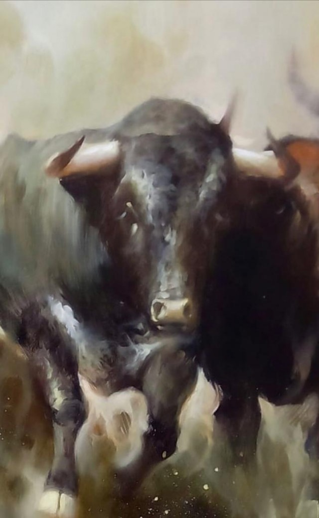 TOROS